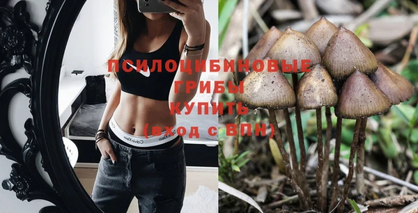 МДПВ Богородицк