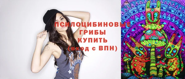 МДПВ Богородицк