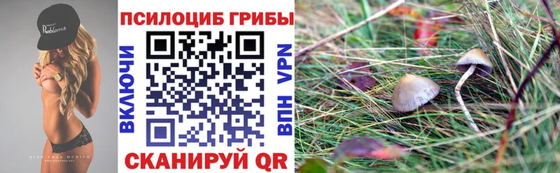 Псилоцибиновые грибы MAGIC MUSHROOMS  hydra сайт  это Telegram  Волчанск 