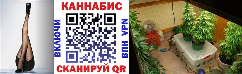Канабис гибрид  Волчанск 